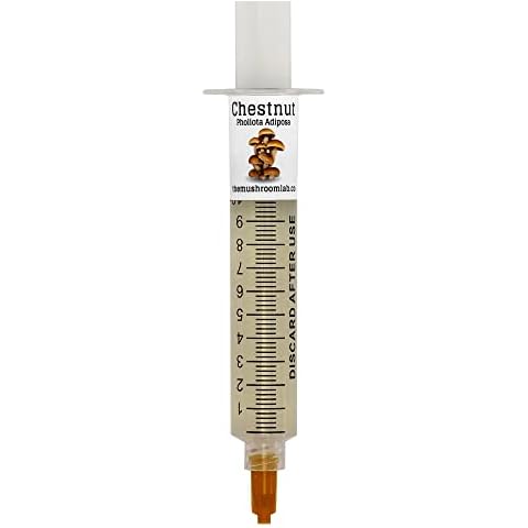 Mushroom Liquid Culture - Chestnut (Pholiota adiposa) Cover