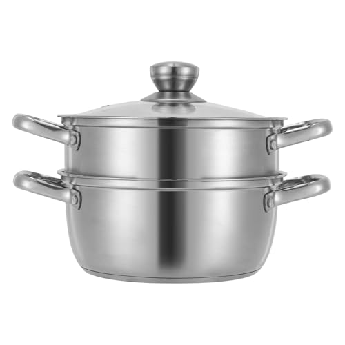 CHFUNE Steamer in acciaio inox, diametro 22 cm, pentola a vapore a 2 ripiani, a induzione con coperchio in vetro, vaporizzatore per cucinare tamale, verdure, gnocchi e frutti di mare