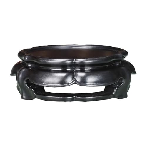 Base de bonsaï et théière pour une décoration de salon zen - 2