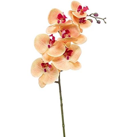 artplants Tige d'orchidée NEITH Orange-Rose Cover