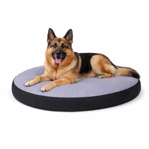 Karlie Kissen, Oval Doc Bed, 100 x 75 x 12 cm