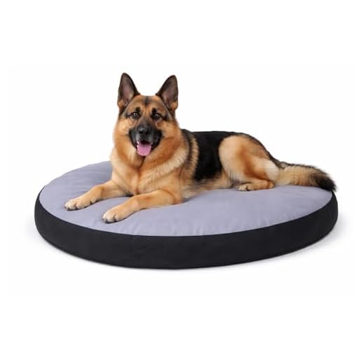 Karlie Kissen, Oval Doc Bed, 100 x 75 x 12 cm