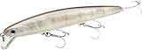 LUCKY CRAFT Flashminnow 110 (767 Ghost White Sea Bass), Surf Fishing Lure