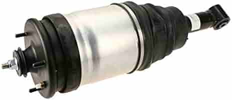 Amazon.com: Rear Shock Absorber Strut Assembly - Compatible