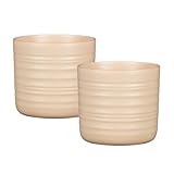 Ajustement parfait : tous les pots de fleurs Scheurich sont parfaitement adaptés aux tailles de conteneurs de plantes courantes.