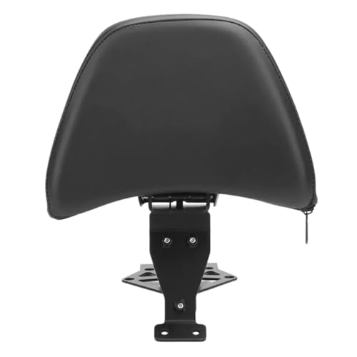 Kit dossier passager moto ergonomique avec coussin conducteur Goldwing GL1800