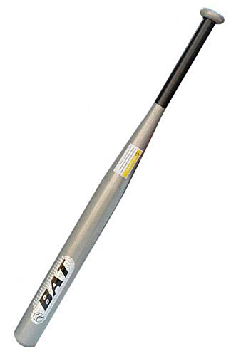 sports best cheap baseball bat