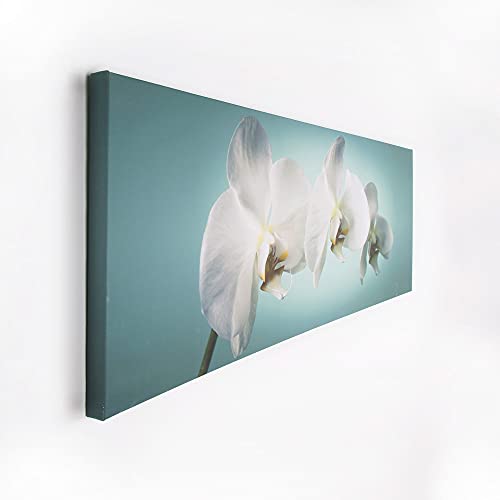 Graham & Brown 40-615 Teal Orchid Printed Canvas Art #TOP2