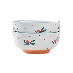 Prachtige kom Retro Lente Kersen Huis 6.3 Inch Salade, Soep, Bijgerechten, Ramen, Fruit, Graankommen 2 Keramische Kommen
