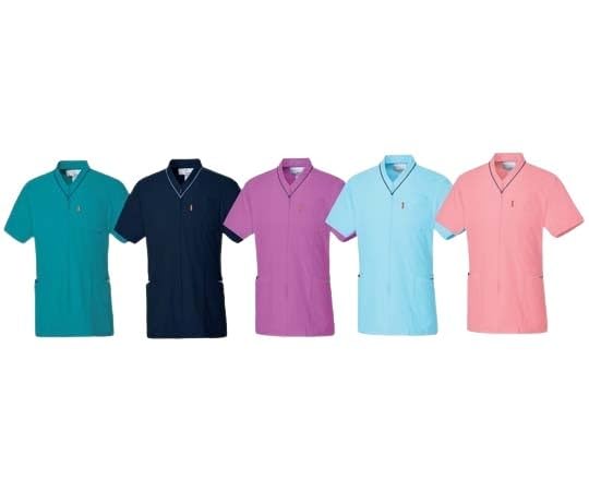 磯田又一郎、【春韻】、希少な額装用画集より、新品額装付、状態良好