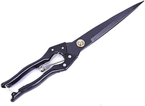 Grass Shear Sheep Shear Alpaca Shear - Coated Wear-Resistant Handle, Manganese Steel Double Blade, Strong Spring Suitable For Cattle And Sheep and Horse Hair Hand-Cut (Black 12.6 inches)