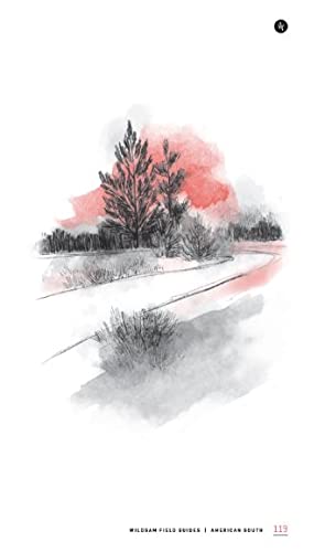 Wildsam Field Guides: American South #TOP5