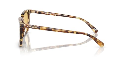 Coach Men's Hc8385u Universal Fit Square Sunglasses3