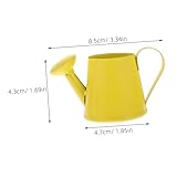 Zoom IMG-1 akoosy 6 pezzi mini annaffiatoi Zoom IMG-1 akoosy 6 pezzi mini annaffiatoi