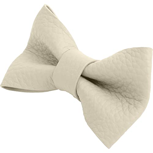 [RafiCaro] {   ^ U[ v v  킢 ^ y gCv[h ` ~j`A_bNX Č L AC{[