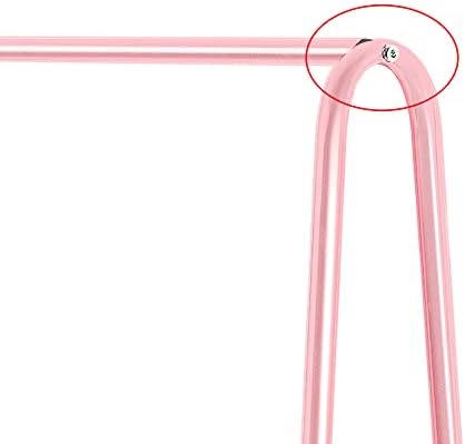 Holdfiturn Small Clothes Rails 60 * 36 * 151cm Clothing Coat Rack Clothing Rail for Bedroom Hanging Rail for Clothes Childrens Garment Dress Hanging Display Stand with Shoe Storage Shelf (Pink)