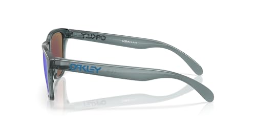 Image of Oakley mens Oo9508 Frogskins S Round Sunglasses