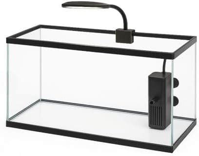 Aquário de Peixes 20 Litros 40x20x25cm - Vidro 3mm Ideal para Pei...