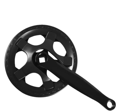 Cicqkks oCN ܂肽ݎ] NN oCN NN Zbg  VOXs[h oCN _Ch z[ XvPbg ANZT[ (42{̎)