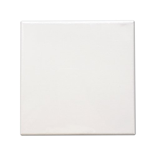 Lwr Crafts Stretched Canvas 8" X 8" Pack Of 6 #TOP1