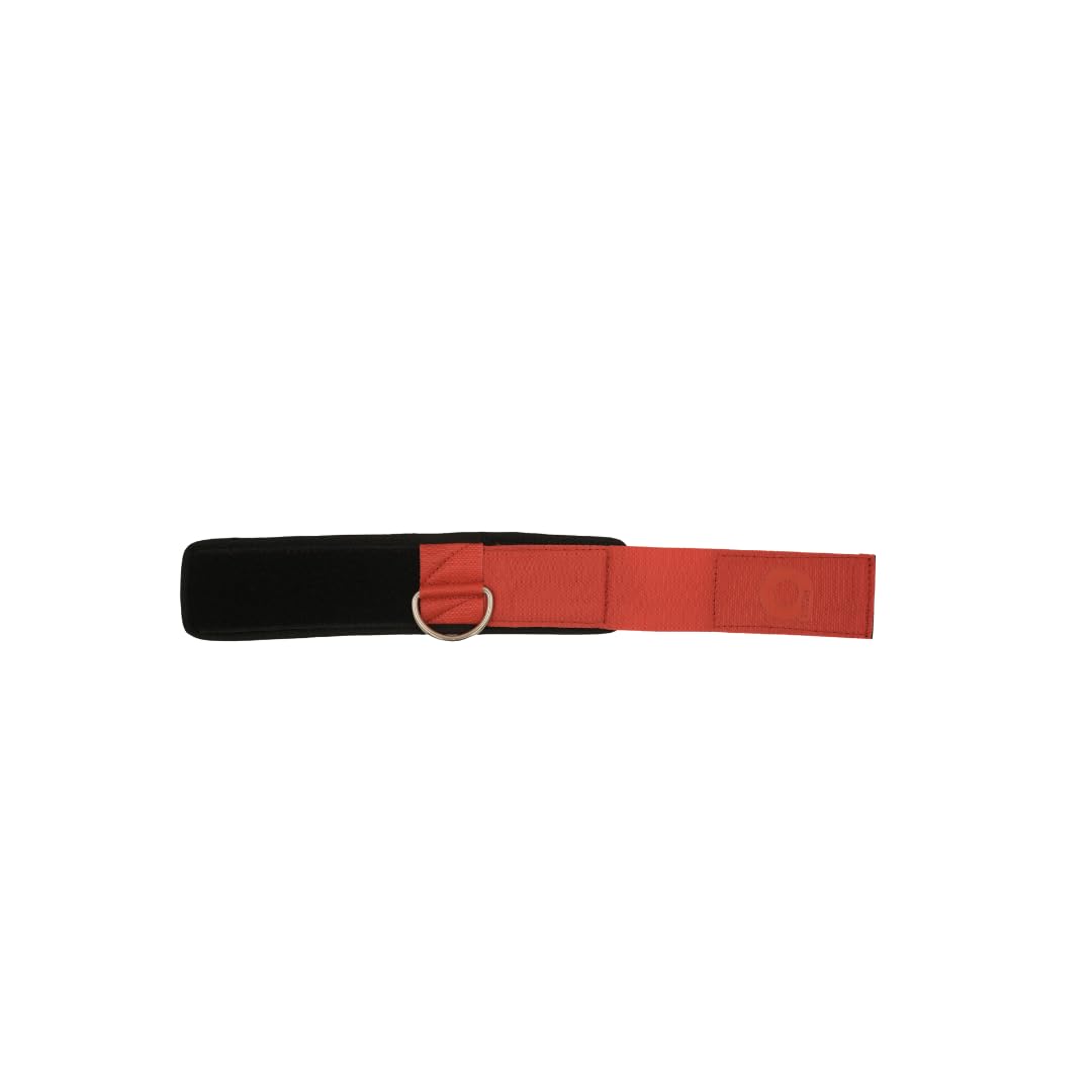AIVIN - Ankle Strap for Gym Cable Machine (Pair)- Heavy D Ring Padded Ankle Band for Gym Workout | Cuff Attachment Kickbacks Leg Extensions Glutes Exercises for Men and Women (Red, Free Size)-image-17