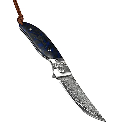 Albatross Hgdk028 Edc Sharp Mordern Damascus Folding Pocket Knife With Blue Fluorescent Carbon Handle,Ball Bearing Assisted Opening Knives With Liner Lock Tail Rope，Gifts/Collections #TOP2