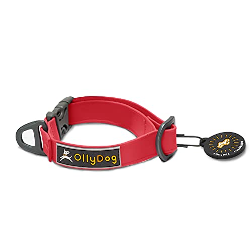 Collier pour petit chien OllyDog Petite Tilden rouge réglable