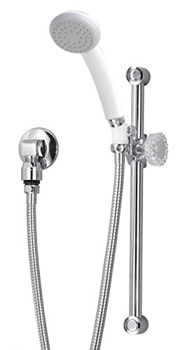 Regadera de mano con barra deslizante T-300 Polished Chrome