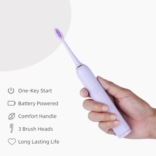 Image of MINISO Electric Toothbrush AA R6 Battery Powered Roman Pillar Design + 3 Brush Heads (Purple)
