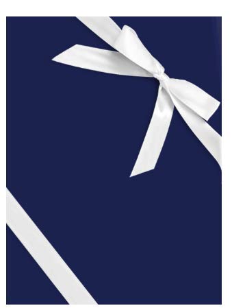 Navy Blue Elegant Specialty Gift Wrap Wrappiing Paper 24 x 15ft