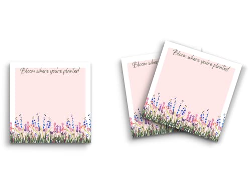 Butler in the Home t 12pbN 3C`x3C` 150 ԂAƂɍ炫܂ 킢ʔpbh [ W[ivi[p