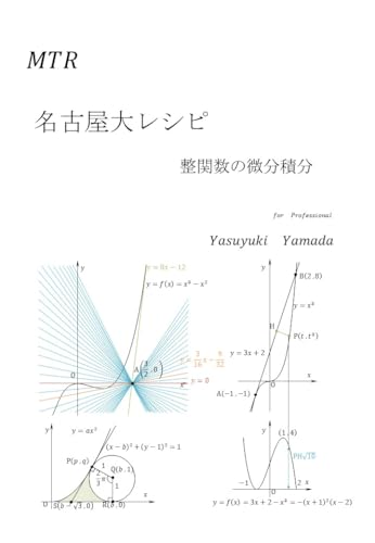 nagoyadairesipi seikannsuunobibunsekibunn (Japanese Edition)