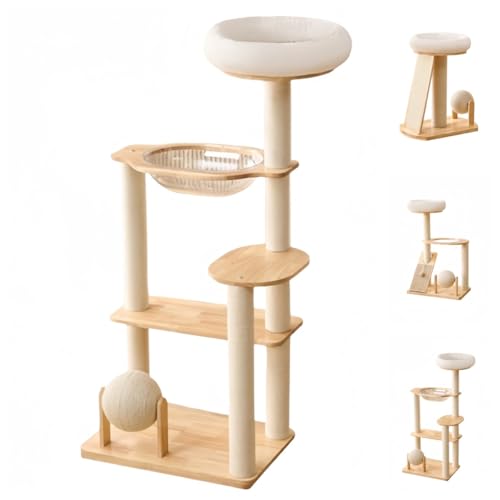 SJGEIDM Lbg^[AS̖؁A̋aAL̓oRt[A^s܌AɋϖՐAAꏊȂAɗDfށAhhAƒpAKAI[C (Cނ̔LpNC~Ot[ 03)