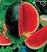 Watermelon Sugar Baby- 30 Seeds