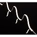 Neon Top Bend 16 ft, 120 lm/ft Single-White 24V Soft White 3000K