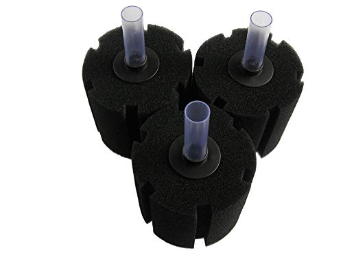 海水魚 水槽セットの人気商品 通販 価格比較 価格 Com 海水魚 水槽セットの人気商品 通販 価格比較 価格 Com