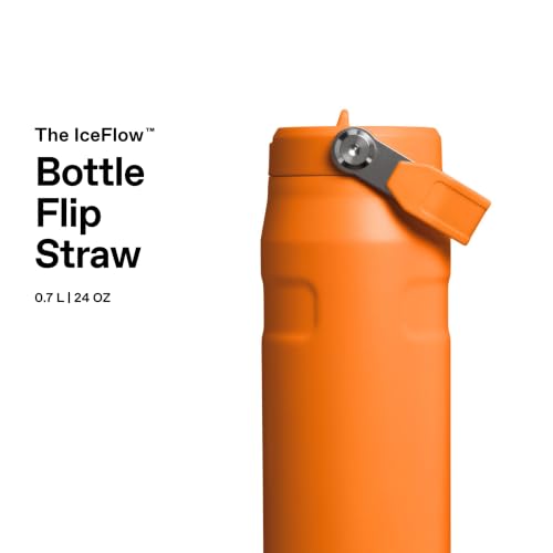 Stanley 1913 Flip Straw Trinkflasche 0.7L - Goldenrod Coral – Ansicht 3