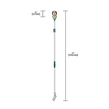 Apple - しげ X6 60V Max 16