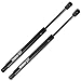 Maxpow 1Pair Rear Trunk Lift Supports Shocks Struts Compatible With Chevrolet Malibu 2008 2009 2010 2011 2012 6167