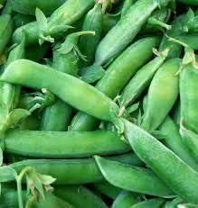 Pea Seed, Sugar Daddy Snap Pea, Heirloom, Non GMO, 20 Seeds, Perfect Peas, Country Creek Acres