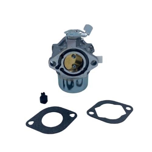 Carburateur de rechange 497581 495782 494894 tondeuse à essence