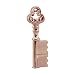 Produktbild Aneew USB-Speicherstick, 32 GB, Schlüsselmodell, Roségold