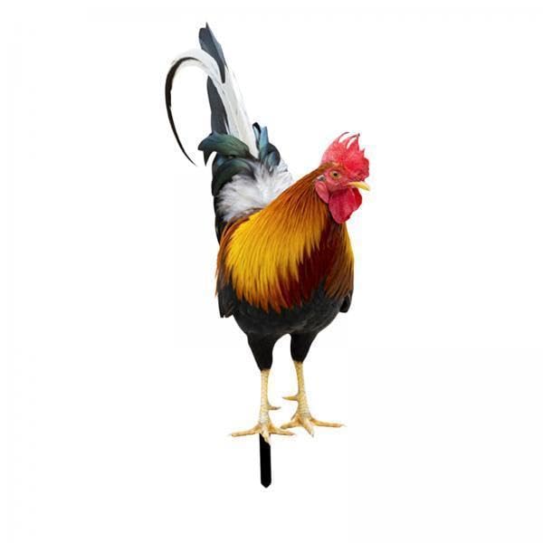 2xRooster Statue Garden Stake Metal Realistic Yard Art for Patio Floor Outdoor 25x10.8x0.1cm-image-7