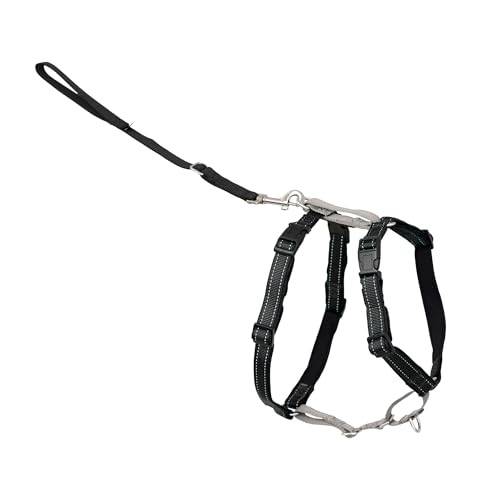 PetSafe 3-in-1 Harness - Comfortable Easy-Walk Dog Chest Harness with Front Leash Attachment to Reduce Pulling, Choking & Gagging - Dog Obedience Gear - Small - Black
