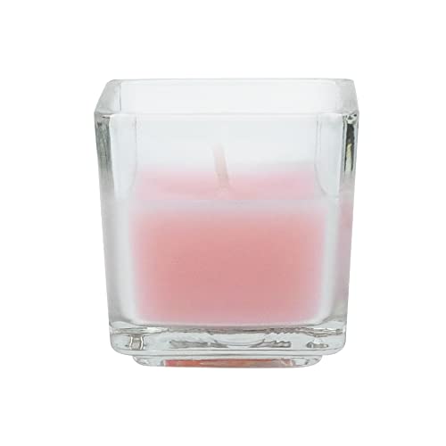 Zest Candle 12-Piece Votive Candles, Light Rose Square Glass Deal