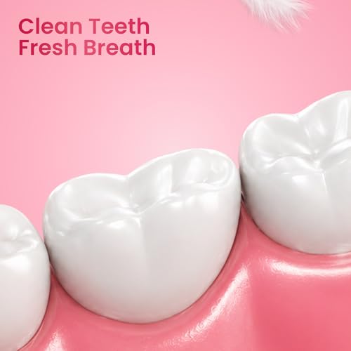 Image of Enshine Advance Clean+ Soft Toothbrush for Adults - Pack of 8 | Ultra Soft Tapered PBT Bristles | Tooth Brush Set with Non-Slip Grip | Manual Toothbrushes for Sensitive Gums & Enamel | Color Pink