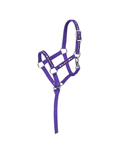 Tough 1 Nylon "I Love My Mini" Miniature Halter, Purple, Small #TOP19