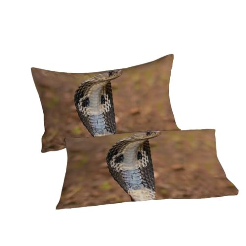 Housse de couette serpent fermeture éclair pour lit double 200x200 - 7