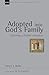 Adopted into God's Family: Exploring a Pauline Metaphor (New Studies in Biblical Theology)