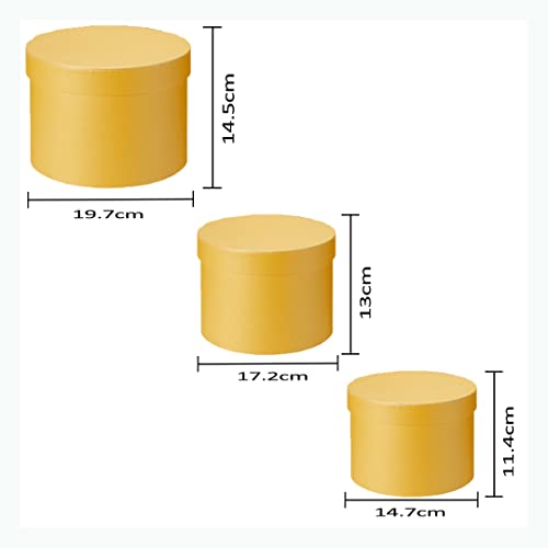 Image of Oasis Paper Gift Box Empty, Decorative, Reusable, Multipurpose Birthday, Anniversary, Wedding, Return Gifts Hamper Packaging (Set of 3) Round Macaroon Yellow